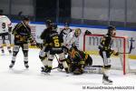 Photo hockey match Rouen - Chamonix  le 23/01/2024