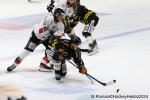 Photo hockey match Rouen - Chamonix  le 23/01/2024