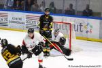 Photo hockey match Rouen - Chamonix  le 24/01/2025