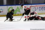 Photo hockey match Rouen - Chamonix  le 24/01/2025
