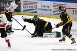 Photo hockey match Rouen - Chamonix  le 24/01/2025