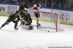 Photo hockey match Rouen - Chamonix  le 20/01/2026