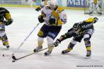 Photo hockey match Rouen - Chamonix  le 17/03/2010