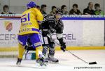 Photo hockey match Rouen - Dijon  le 24/01/2014