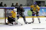 Photo hockey match Rouen - Dijon  le 24/01/2014