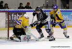 Photo hockey match Rouen - Dijon  le 24/01/2014