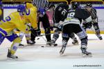 Photo hockey match Rouen - Dijon  le 24/01/2014