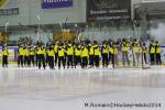Photo hockey match Rouen - Dijon  le 24/01/2014