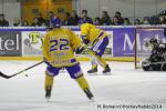 Photo hockey match Rouen - Dijon  le 24/01/2014
