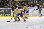 Photo hockey match Rouen - Dijon  le 24/01/2014