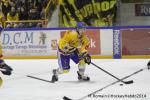 Photo hockey match Rouen - Dijon  le 24/01/2014