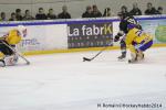 Photo hockey match Rouen - Dijon  le 24/01/2014