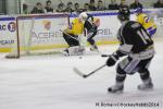 Photo hockey match Rouen - Dijon  le 24/01/2014