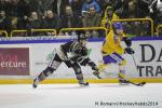 Photo hockey match Rouen - Dijon  le 24/01/2014