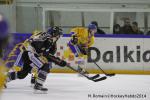 Photo hockey match Rouen - Dijon  le 24/01/2014