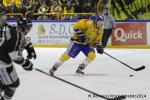 Photo hockey match Rouen - Dijon  le 24/01/2014