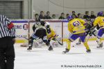 Photo hockey match Rouen - Dijon  le 24/01/2014