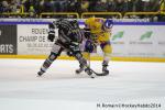 Photo hockey match Rouen - Dijon  le 24/01/2014
