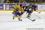 Photo hockey match Rouen - Dijon  le 24/01/2014