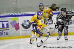 Photo hockey match Rouen - Dijon  le 24/01/2014