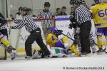 Photo hockey match Rouen - Dijon  le 24/01/2014