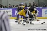 Photo hockey match Rouen - Dijon  le 24/01/2014