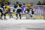 Photo hockey match Rouen - Dijon  le 24/01/2014