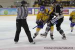 Photo hockey match Rouen - Dijon  le 24/01/2014