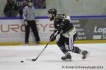 Photo hockey match Rouen - Dijon  le 24/01/2014