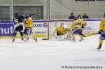Photo hockey match Rouen - Dijon  le 24/01/2014
