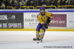 Photo hockey match Rouen - Dijon  le 24/01/2014