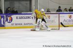 Photo hockey match Rouen - Dijon  le 24/01/2014