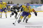 Photo hockey match Rouen - Dijon  le 24/01/2014