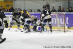 Photo hockey match Rouen - Dijon  le 24/01/2014