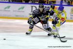 Photo hockey match Rouen - Dijon  le 04/10/2014