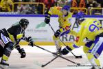 Photo hockey match Rouen - Dijon  le 04/10/2014