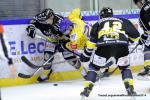 Photo hockey match Rouen - Dijon  le 04/10/2014