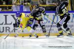 Photo hockey match Rouen - Dijon  le 04/10/2014