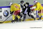 Photo hockey match Rouen - Dijon  le 29/11/2015
