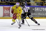 Photo hockey match Rouen - Dijon  le 29/11/2015