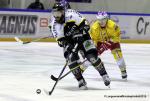 Photo hockey match Rouen - Dijon  le 29/11/2015