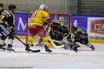 Photo hockey match Rouen - Dijon  le 14/02/2017