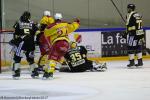 Photo hockey match Rouen - Dijon  le 14/02/2017