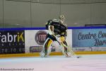 Photo hockey match Rouen - Dijon  le 14/02/2017