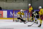 Photo hockey match Rouen - Dijon  le 14/02/2017