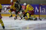 Photo hockey match Rouen - Dijon  le 14/02/2017
