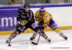 Photo hockey match Rouen - Dijon  le 26/12/2011