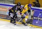 Photo hockey match Rouen - Dijon  le 15/02/2013