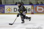 Photo hockey match Rouen - Dijon  le 15/02/2013