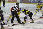 Photo hockey match Rouen - Dunkerque le 21/10/2014